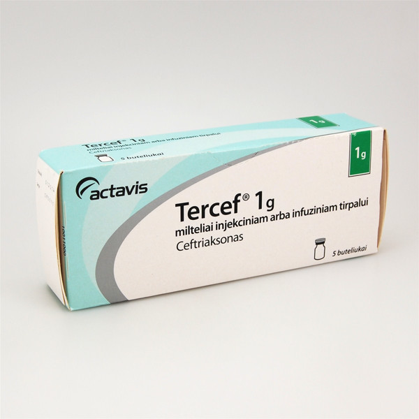 TERCEF, 1 g, milteliai injekciniam arba infuziniam tirpalui, N5 paveikslėlis