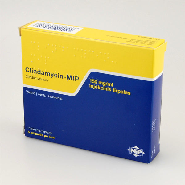 CLINDAMYCIN-MIP, 150 mg/ml, injekcinis tirpalas, N5 paveikslėlis