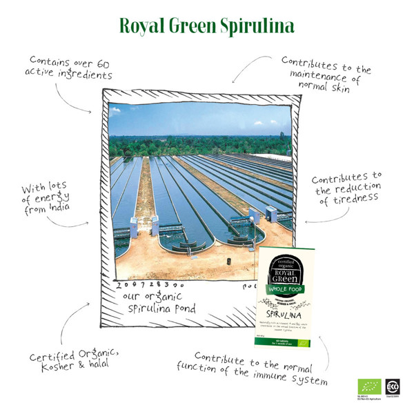 ROYAL GREEN BIO SPIRULINA, 1000 mg, 60 tablečių paveikslėlis