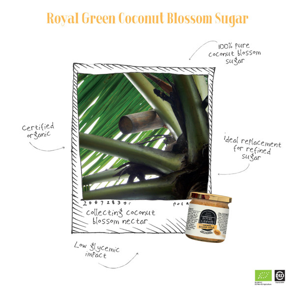 ROYAL GREEN BIO Kokosų žiedų cukrus, 200g paveikslėlis