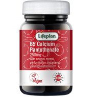 LIFEPLAN VITAMINAS B5 250 mg, kalcio pantotenatas, tabletės N100 paveikslėlis