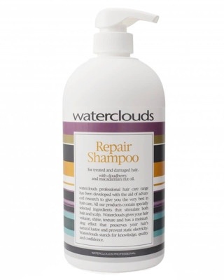 Repair šampūnas