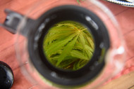 KANAPŪKIS Kanapių lapų arbata 100 g. paveikslėlis