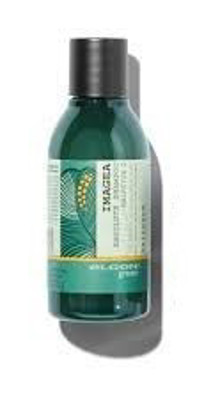 ELGON IMAGEA natūralus šampūnas dažytiems plaukams ABSOLUTE SHAMPOO, 50 ml paveikslėlis