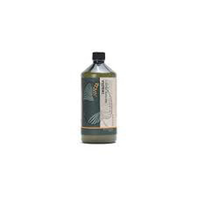 ELGON IMAGEA natūralus šampūnas dažytiems plaukams ABSOLUTE SHAMPOO, 1000 ml paveikslėlis
