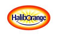 Haliborange Omega-3 & Multivitamins Softies Orange, apelsinų skonio omega-3 ir vitaminų guminukai, 30 guminukų paveikslėlis