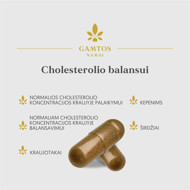 GAMTOS NAMAI CHOLESTEROLIO BALANSUI, 60 kapsulių paveikslėlis