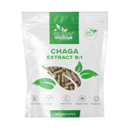 RAW POWDERS CHAGA EKSTRAKTAS 500 mg, 90 kapsulių