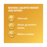 ESSENTIALE FORTE N, 600 mg, kietosios kapsulės, N30 paveikslėlis