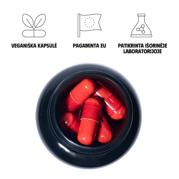 QED Brain Booster, 60 kapsulių