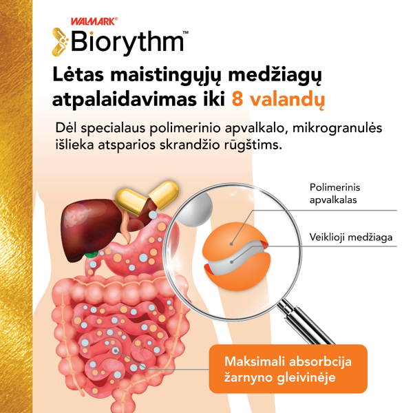 BIORYTHM MAGNE B6, 30 kapsulių paveikslėlis BIORYTHM MAGNE B6, 30 kapsulių paveikslėlis