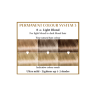 HENNAPLUS Ilgalaikiai plaukų dažai su 9 ekologiškais  ekstraktais, šviesi blondinė 8, 100 ml