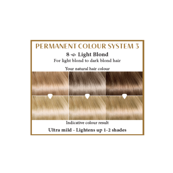 HENNAPLUS Ilgalaikiai plaukų dažai su 9 ekologiškais  ekstraktais, šviesi blondinė 8, 100 ml