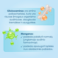 PROENZI ARTHROSTOP PLUS, 100 tablečių paveikslėlis