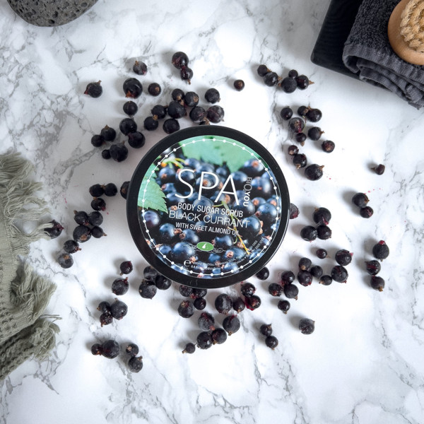 Bio2You cukrinis šveitiklis „Juodasis serbentas“200 ml