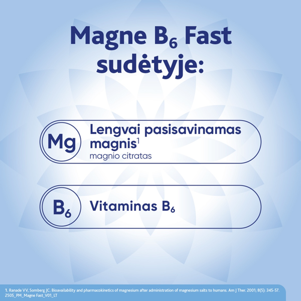 MAGNE B6 FAST, vienadoziai paketėliai, 20 vnt. paveikslėlis