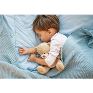 Burbulinė vonia vaikams DRESDNER ESSENZ „Geras miegas“ 300 ml