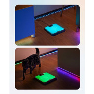 Renpho kūno masę analizuojančios išmaniosios svarstyklės Elis Chroma, 1 vnt. Renpho kūno masę analizuojančios išmaniosios svarstyklės Elis Chroma, 1 vnt.