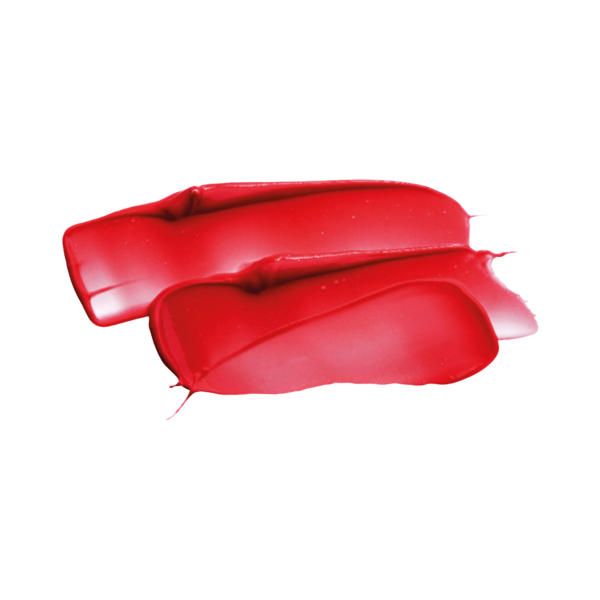 SLA PARIS „Shiny INK“ lūpų blizgis „Scarlett“