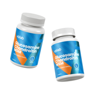 VPLAB Glucosomine Chondroitin MSM, 90 tablečių paveikslėlis VPLAB Glucosomine Chondroitin MSM, 90 tablečių paveikslėlis