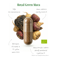 ROYAL GREEN BIO MACA, 500 mg, 60 kapsulių paveikslėlis ROYAL GREEN BIO MACA, 500 mg, 60 kapsulių paveikslėlis