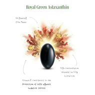ROYAL GREEN ASTAKSANTINAS, 4 mg, 60 kapsulių paveikslėlis