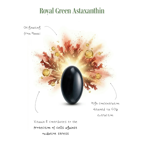 ROYAL GREEN ASTAKSANTINAS, 4 mg, 60 kapsulių paveikslėlis