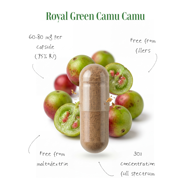 ROYAL GREEN CAMU CAMU, vitaminas C, 500 mg, 60 kapsulių paveikslėlis ROYAL GREEN CAMU CAMU, vitaminas C, 500 mg, 60 kapsulių paveikslėlis
