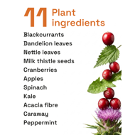Detox Flow - Urbanfood Detox Flow - Urbanfood