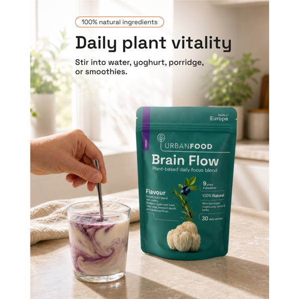 Brain Flow - Urbanfood - protinei veiklai Brain Flow - Urbanfood - protinei veiklai
