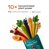Energy Flow - Urbanfood - energijai Energy Flow - Urbanfood - energijai