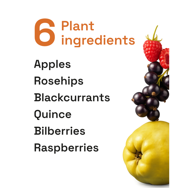 Immune Flow - Urbanfood - imunitetas Immune Flow - Urbanfood - imunitetas