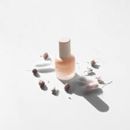 Accoje Veido serumas Anti Aging ACC100001137, 30 ml Accoje Veido serumas Anti Aging ACC100001137, 30 ml